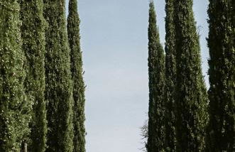 Le Capannacce - Foto 73