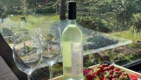 Winter Valley Cabins - Foto 5, Garden, Garden view