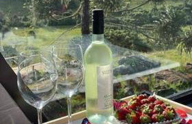 Winter Valley Cabins - Foto 5