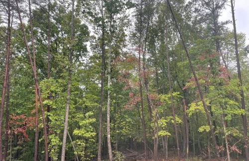 Red Door Cottage - Foto 14