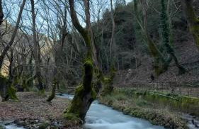 Guesthouse Charitou - Foto 38