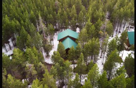 Island Park Hideaway -Bill's Island -Hot Tub -BBQ - Foto 19