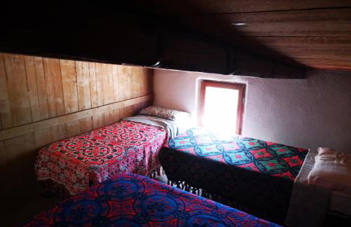 Pinnettu sardo casa di campagna in ecosistema insetti e animaletti simpatici in condivisione,Leggere attentamente Prima di prenotare - Foto 35