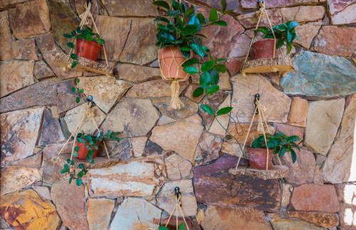 L'Oasi del Cervo - Foto 11