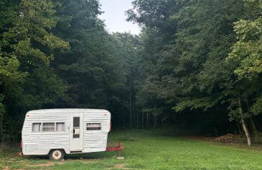 The Holler - Foto 51