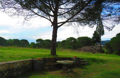 Charming House with Shared Pool in Porto de Mós. - Foto 17