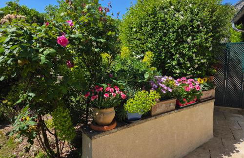 Clair logis - Foto 14