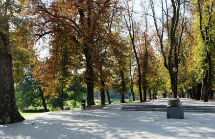 Albert Home - Foto 38