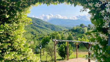 Agriturismo Piano di Andrea - Foto 3