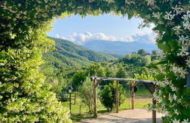 Agriturismo Piano di Andrea - Foto 9