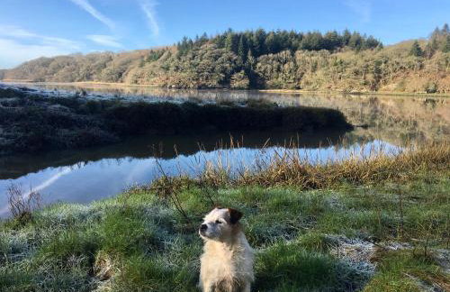 Broomhill Barns - Foto 46