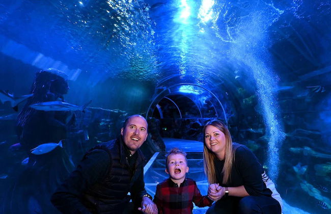 SEA LIFE® Birmingham Tickets - Photo 1