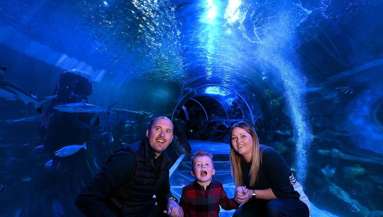 Entrada a SEA LIFE® Birmingham