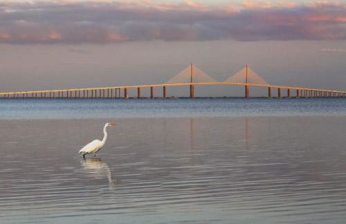 Relaxing Pool Side - Near Fairgrounds - Foto 44