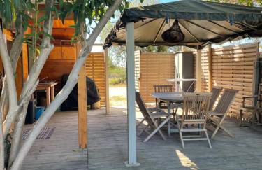 Cabanon au bord du petit Rhône - Foto 3