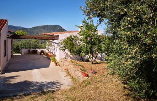 Villa Sa Pruna - Foto 21