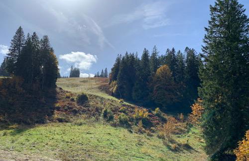 Ferienwohnung Feldberg Schwarzwald - Foto 42