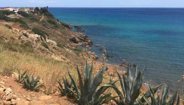 CALABRIA- CASA SUL MARE La Camilluccia - Foto 4