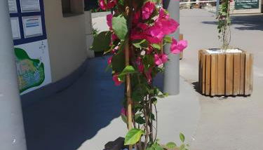 Mobil-home dans camping 5 étoiles - Foto 3