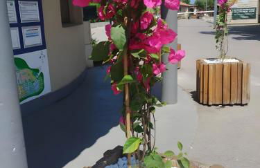 Mobil-home dans camping 5 étoiles - Foto 3