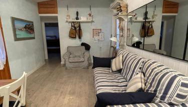 La flabellina blu - Foto 2