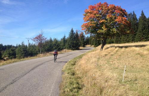 Erzgebirgsferien - Foto 28