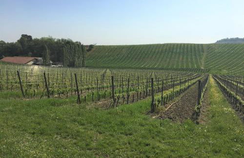 Villa Zene - Foto 37