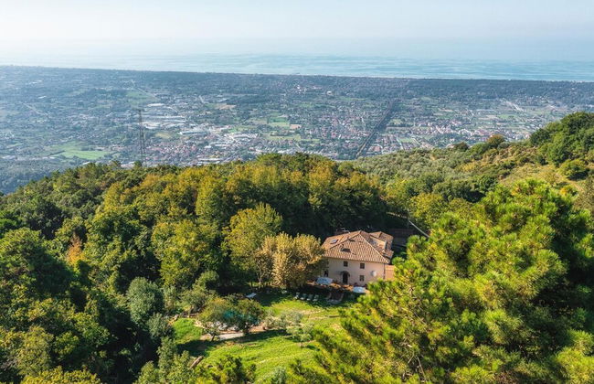 La Dama Del Bosco 8 3 - Foto 46