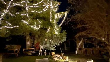 Landhaus 1868 - Foto 4