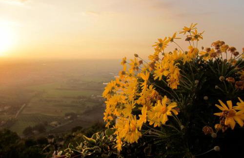 Le Camere Pinte - Photo 46