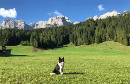 Civico 10 - Photo 33