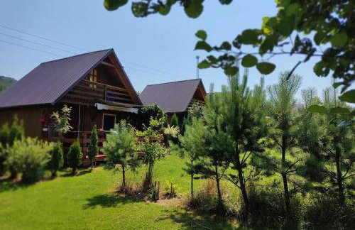 Domki w Bieszczadach - Foto 13