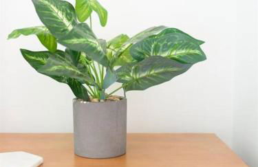 Family Renovated Home, Netflix, AC, WD, Putt Putt - Foto 31