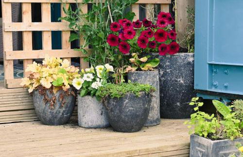 Bluebell Cabin - Foto 39