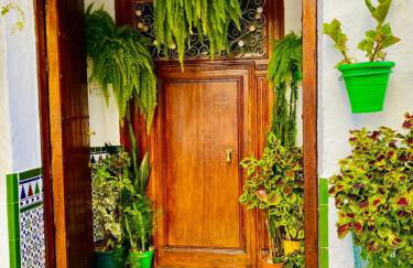 Residencia Jardin del Rio - Foto 36