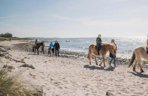 Büdlfarm - Der Familien-Erlebnishof in Strandnähe - Foto 12