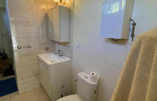 Gîte Historique à Tours avec Jardin et WIFI Inclus - FR-1-381-635 - Foto 12