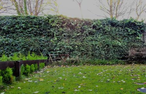 Mycosy 605 - Foto 18