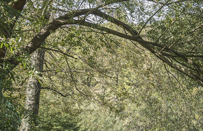 Cabañas Tierra Nueva - Foto 9