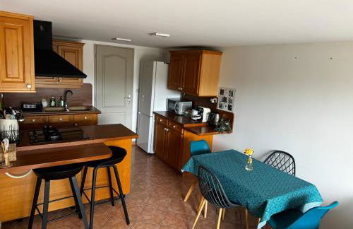 Gîte urbain au calme en rez de jardin proche Groupama stadium salle Arena EUREXPO Lyon - Foto 11