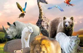 Authentique Maison Normande de village - Foto 48