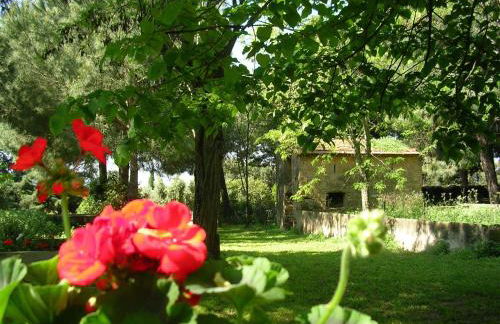 Agriturismo Il Piaggione - Foto 46