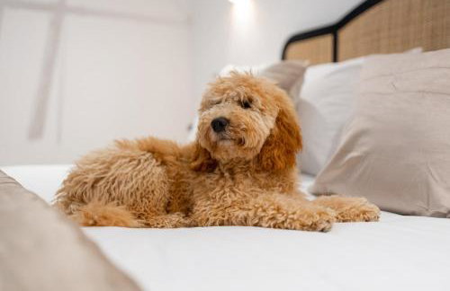 Hamilton Residence - Private Main Door 1BR - Foto 9