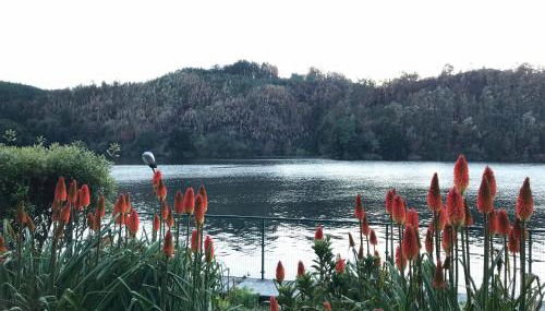 Casa do Pombal - Foto 5