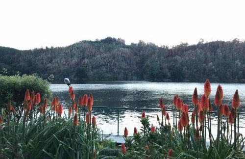 Casa do Pombal - Photo 5