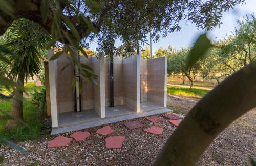 Armandiola - Foto 14