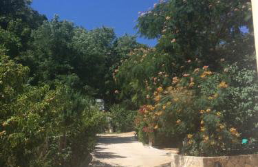 Toni i Kristina - Photo 60