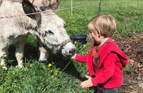 Le Chat Perché - Appartements 3 étoiles spacieux et chaleureux à Allemond - Foto 28