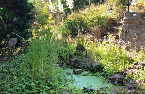 Ferienwohnung Kellerwald - Foto 33