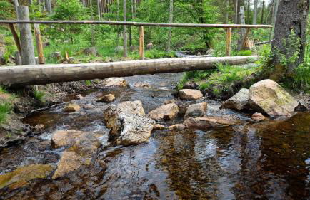 Villa Vorkastell - Foto 39